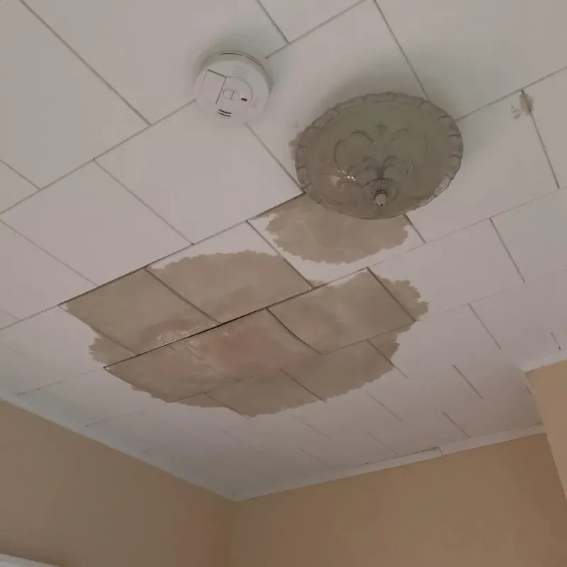 Ceiling Water Damage Repair in Calhoun City, MS