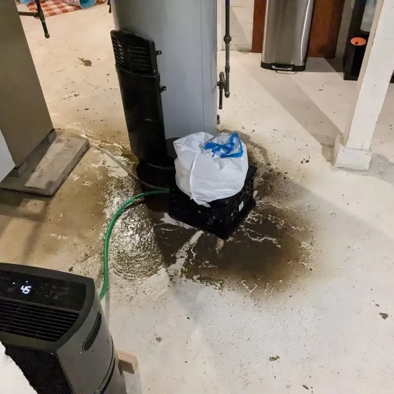 Sewage Backup Cleanup Service in Calhoun City, MS